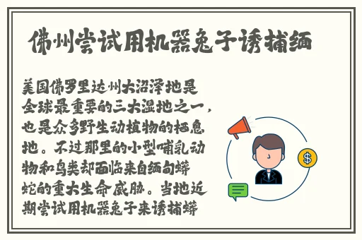不知火舞vs精子